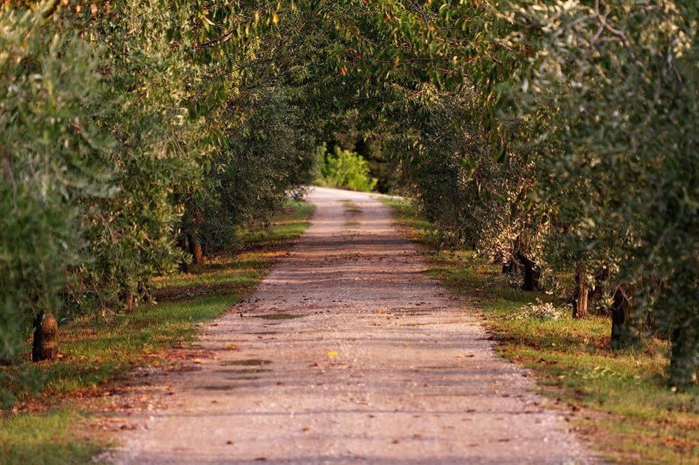 Agriturismo Casagrande Montepulciano Stazione المظهر الخارجي الصورة